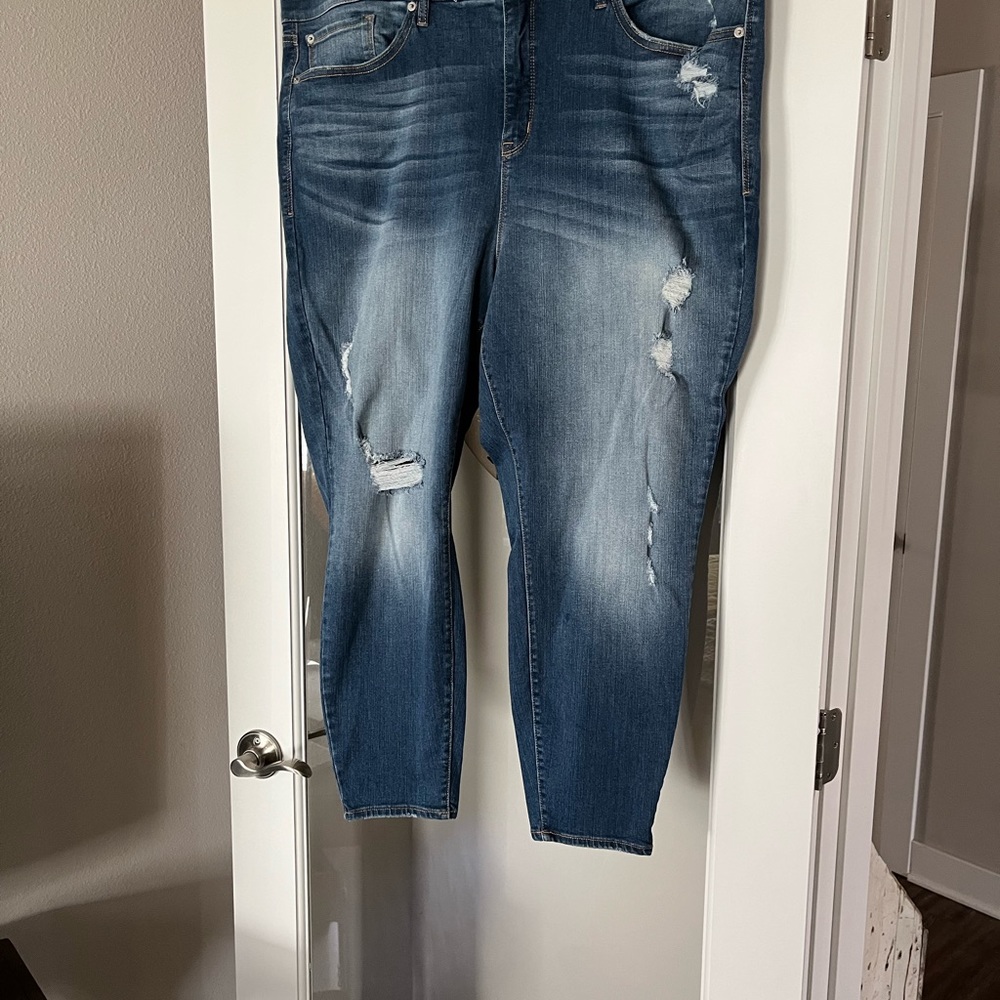 Torrid plus size skinny jeans
